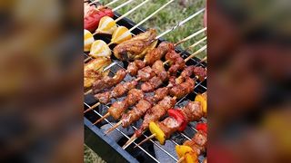 اجاق کباب پز جدید، قفسه باربیکیو خانگی، اجاق باربیکیو تاشو قابل حمل در فضای باز، ابزار کباب پز کوچک
